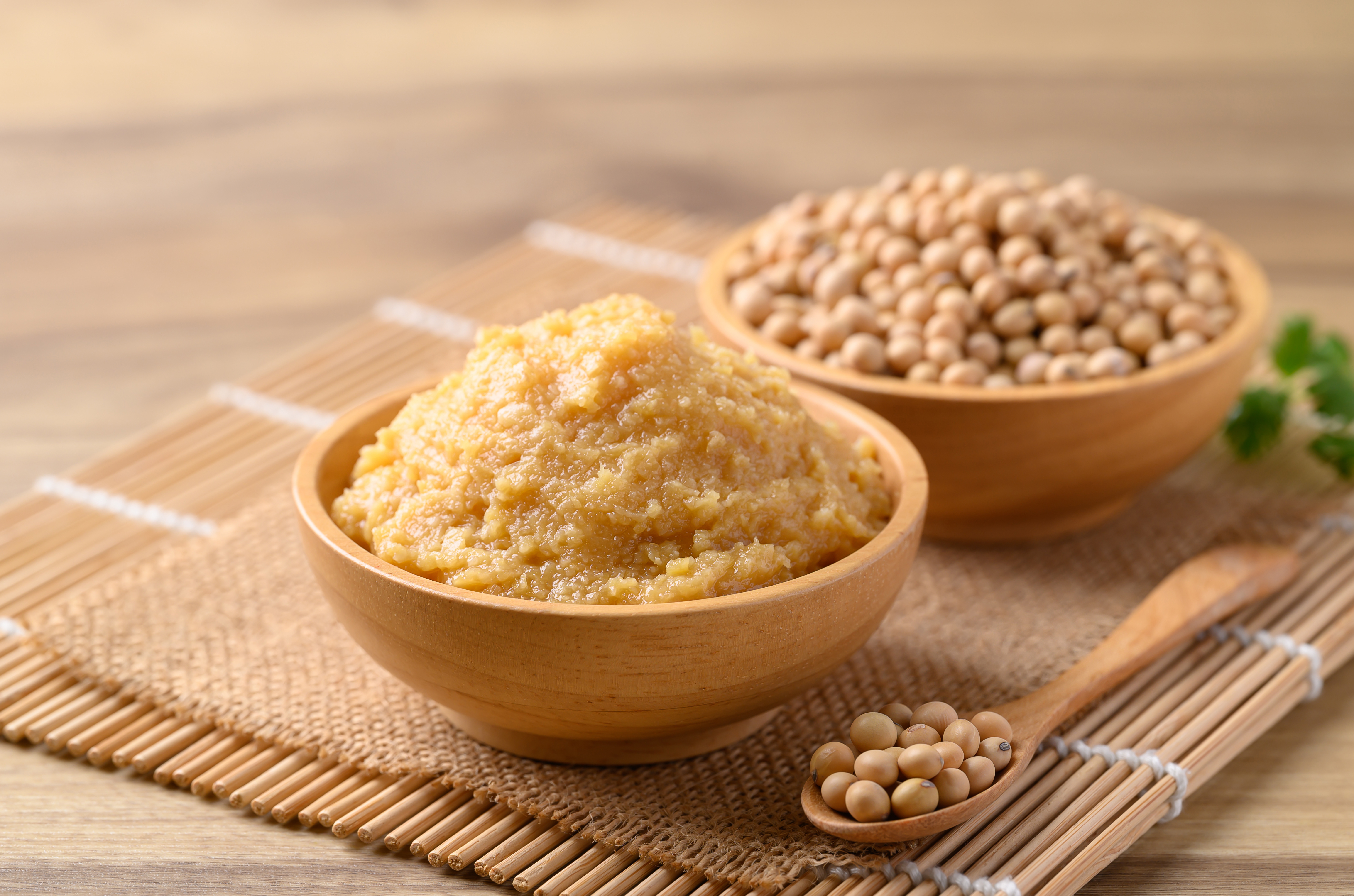 Miso Factory placeholder